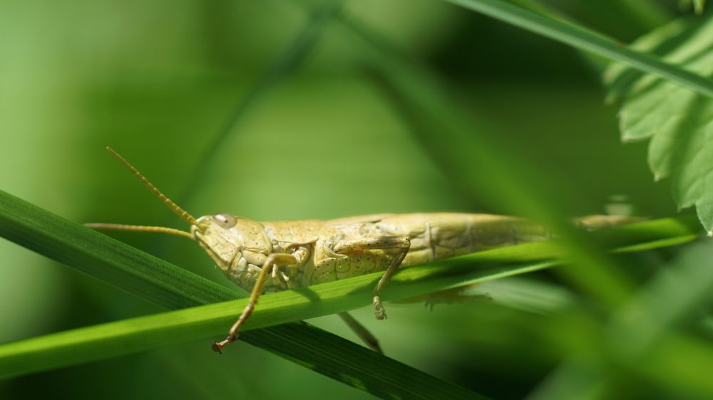 Фотография автора  Kelli