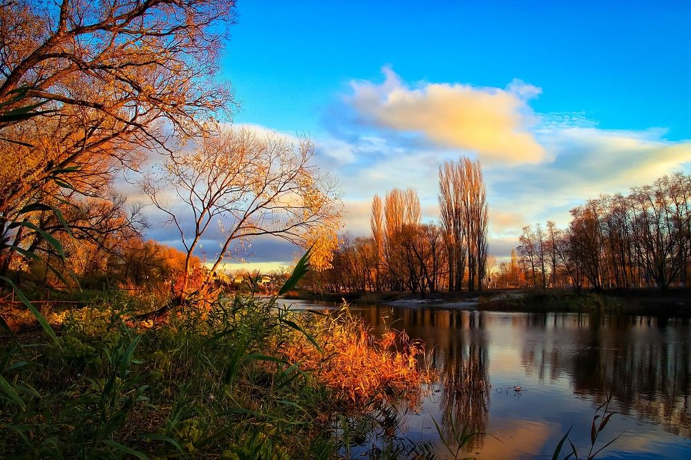 Фотография автора Андрей Потапов