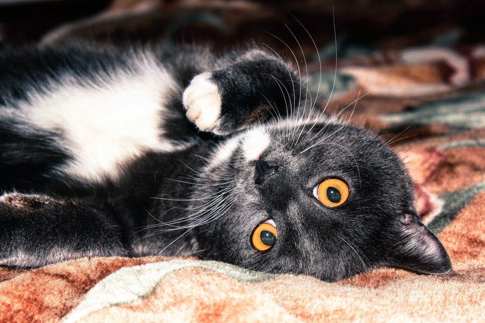 Фотография автора Андрей Потапов