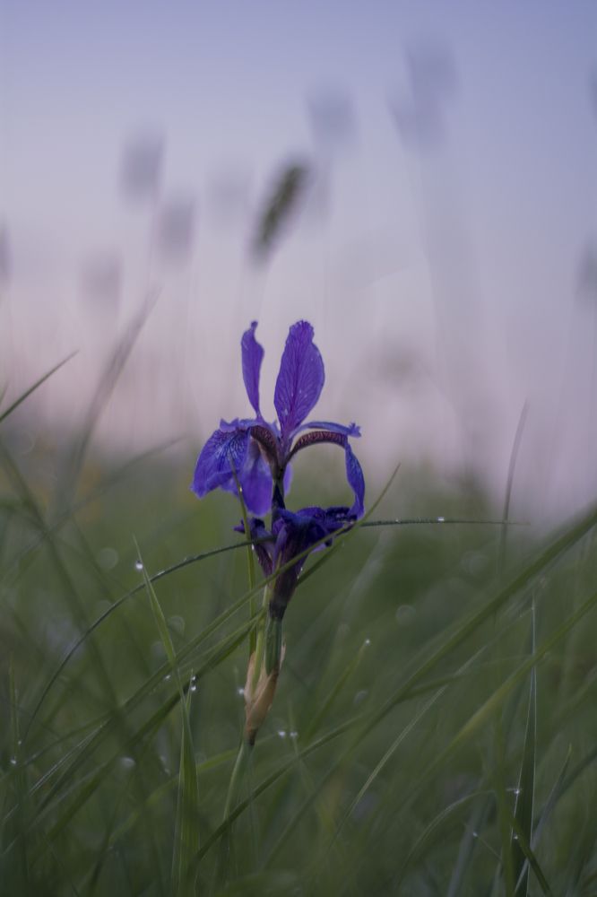 Фотография автора Дарья Долкова