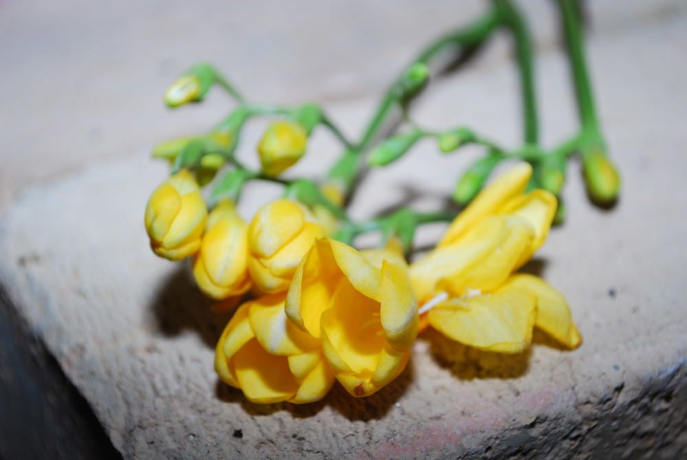 Photograph by Red Woman