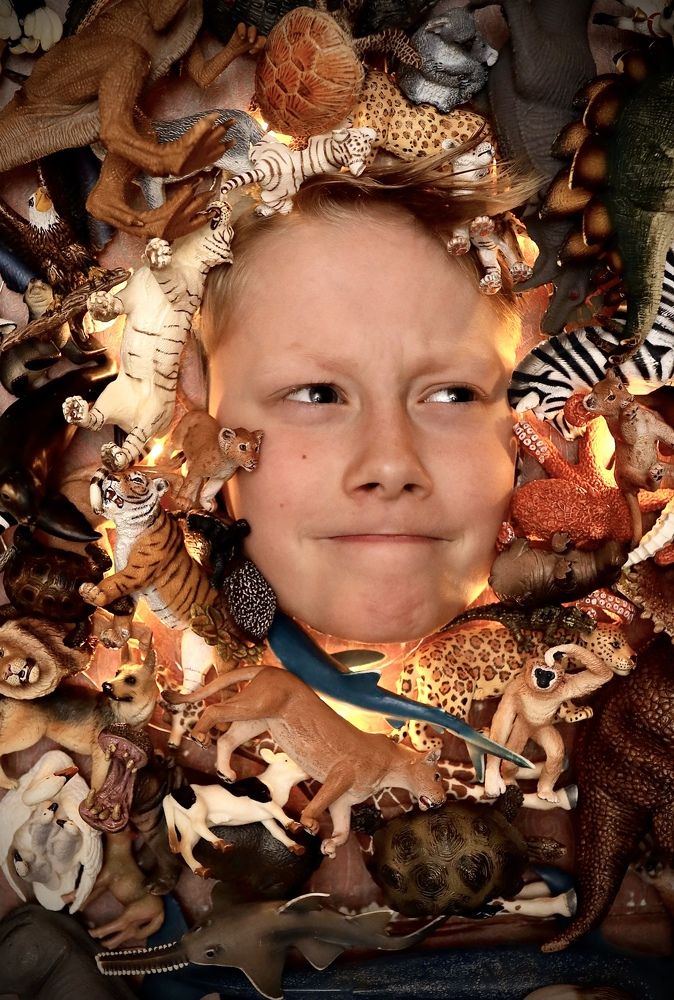 Фотография автора Елена Ломова