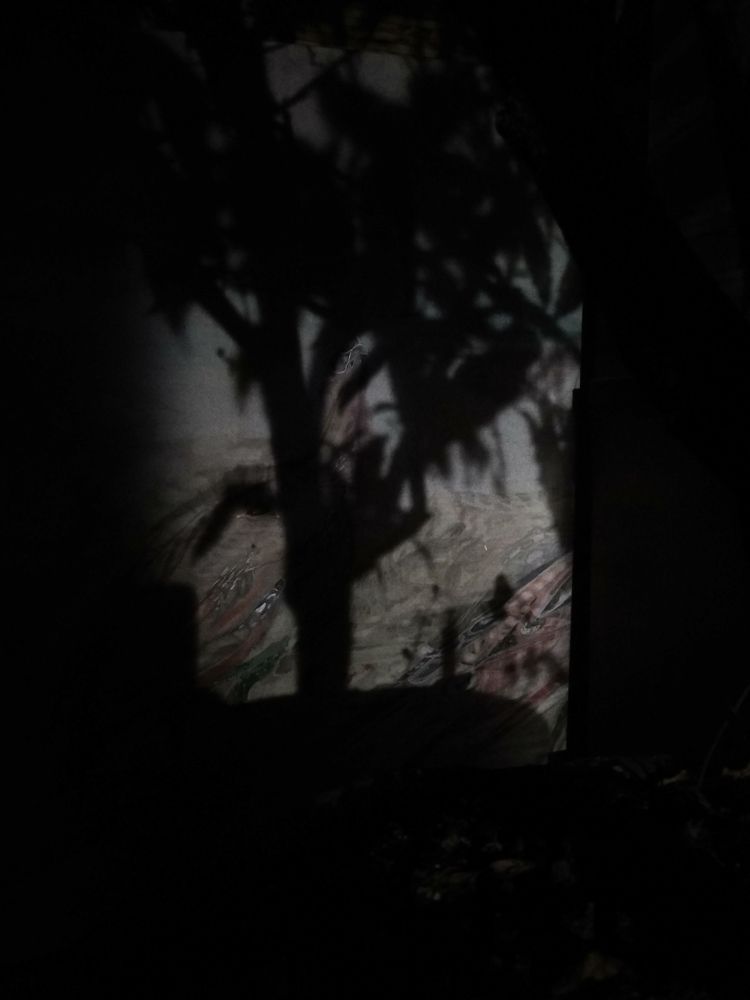 Тень на фоне батика