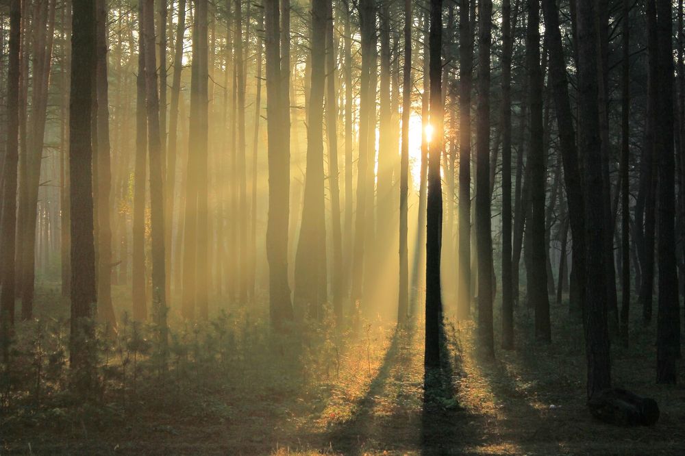 Второе мгновение осени