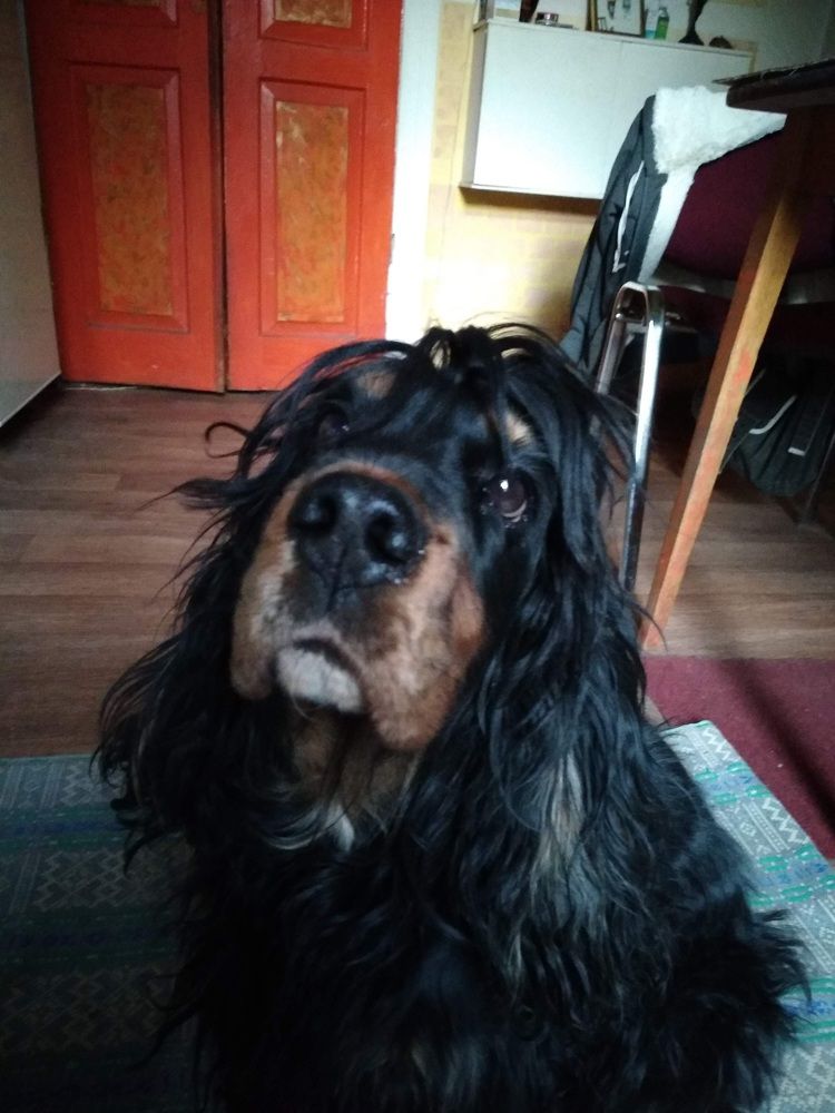 Любимая Кзрри