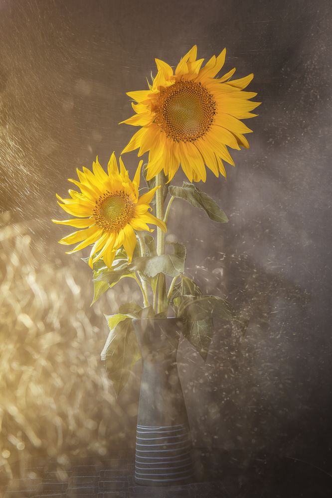 Photograph by Nino Gogoladze