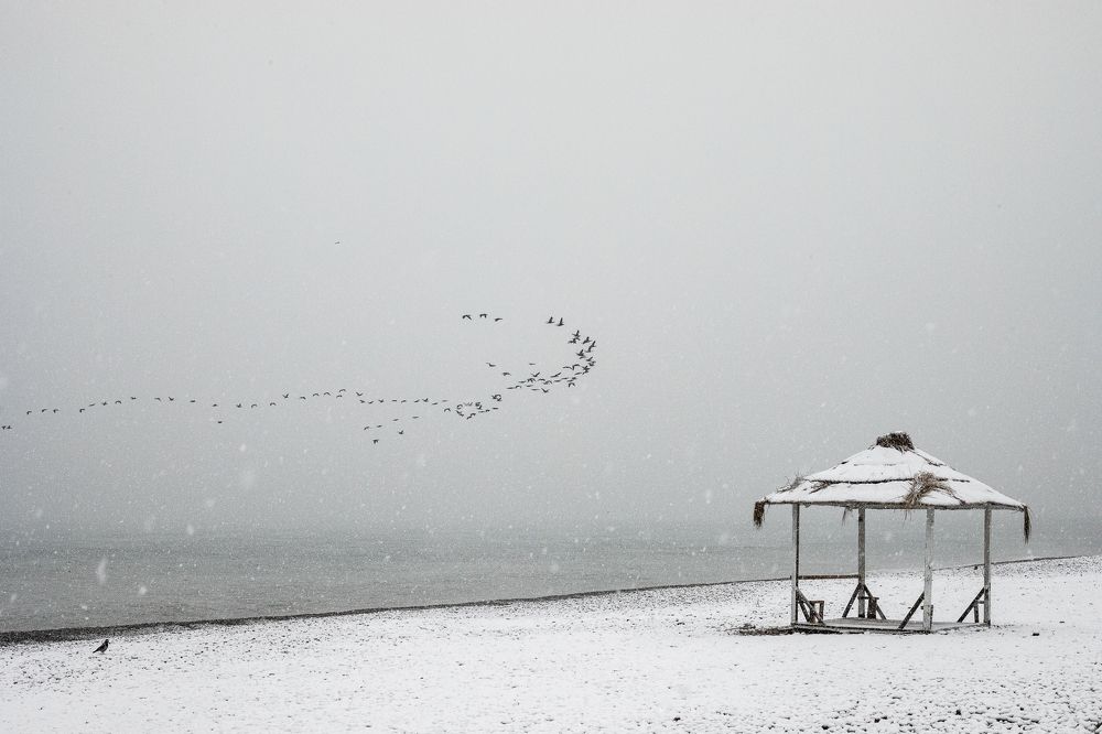 Photograph by Nino Gogoladze