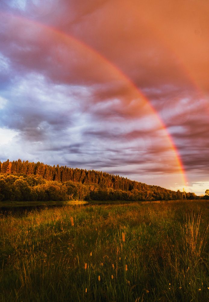 радуга - дождливый рассвет