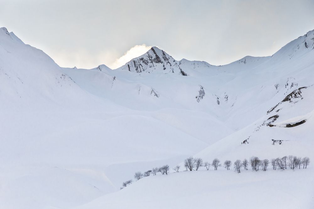 Photograph by Nino Gogoladze