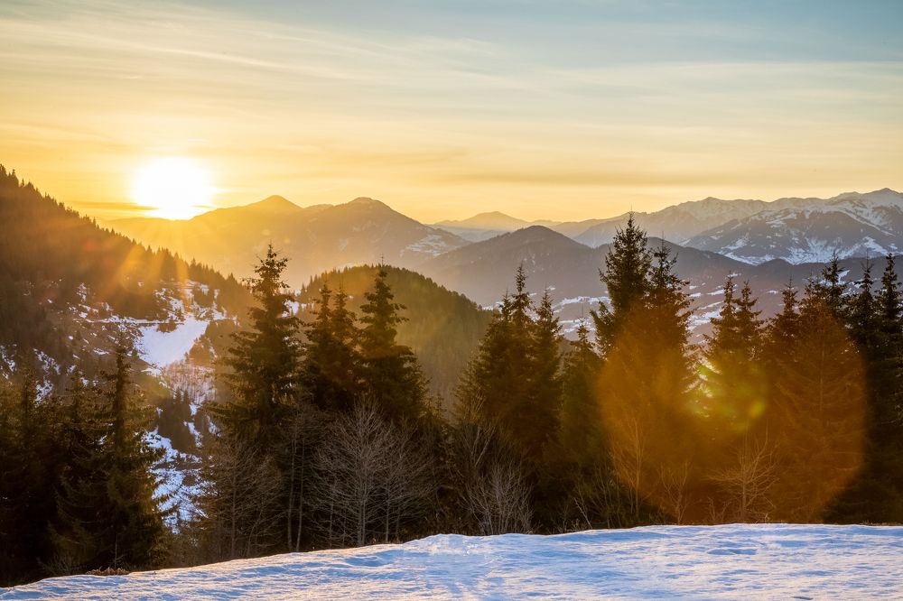 Photograph by Nino Gogoladze