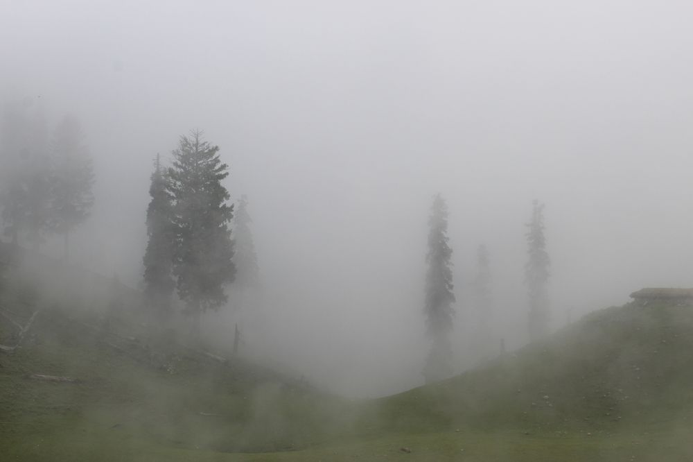 Photograph by Firdous Parray