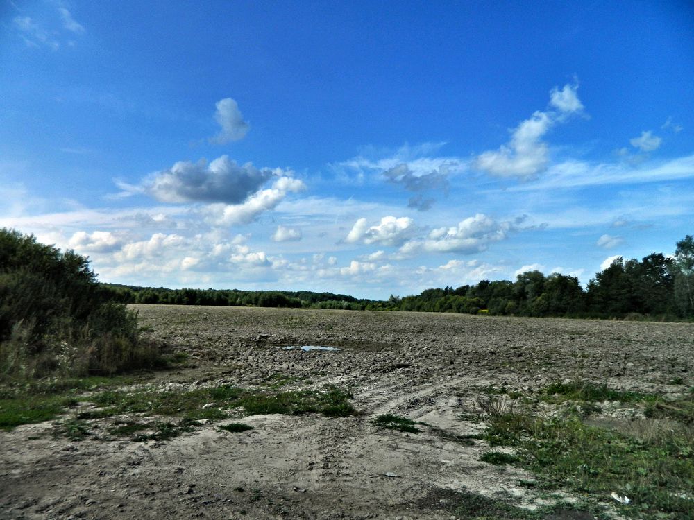 Фотография автора Сергей Рапопорт