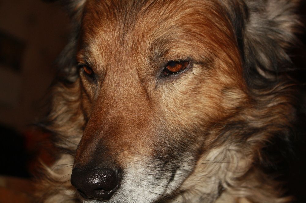 Фотография автора Сергей Рапопорт