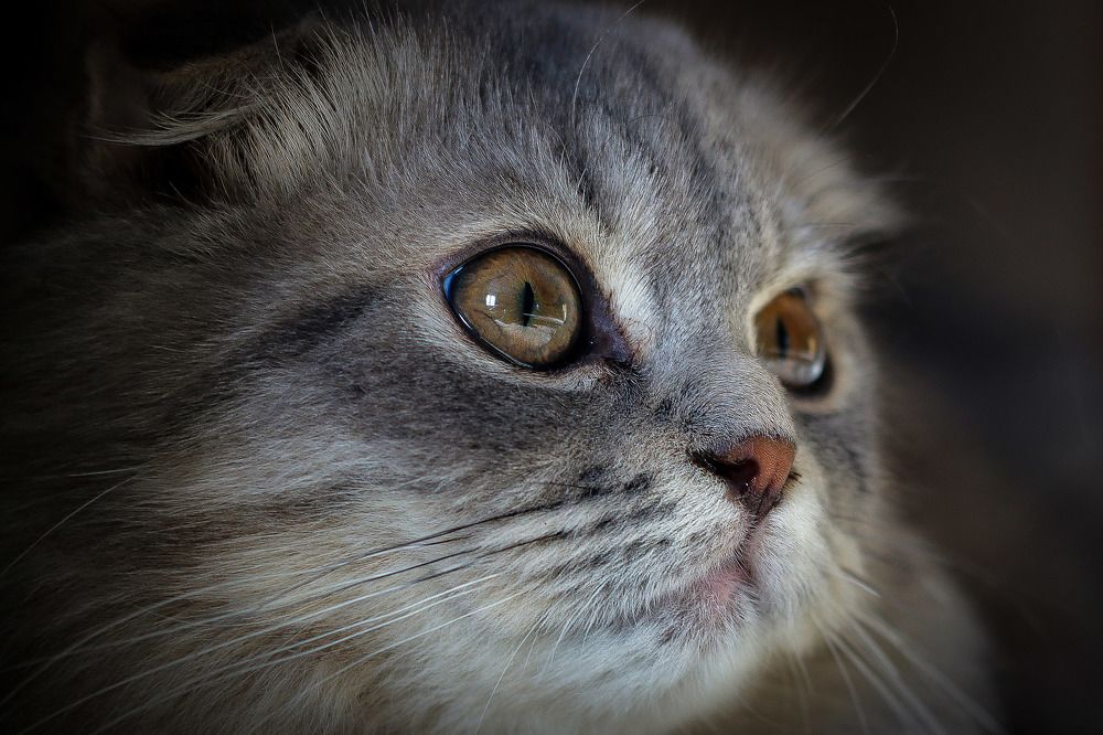 Фотография автора Андрей Потапов