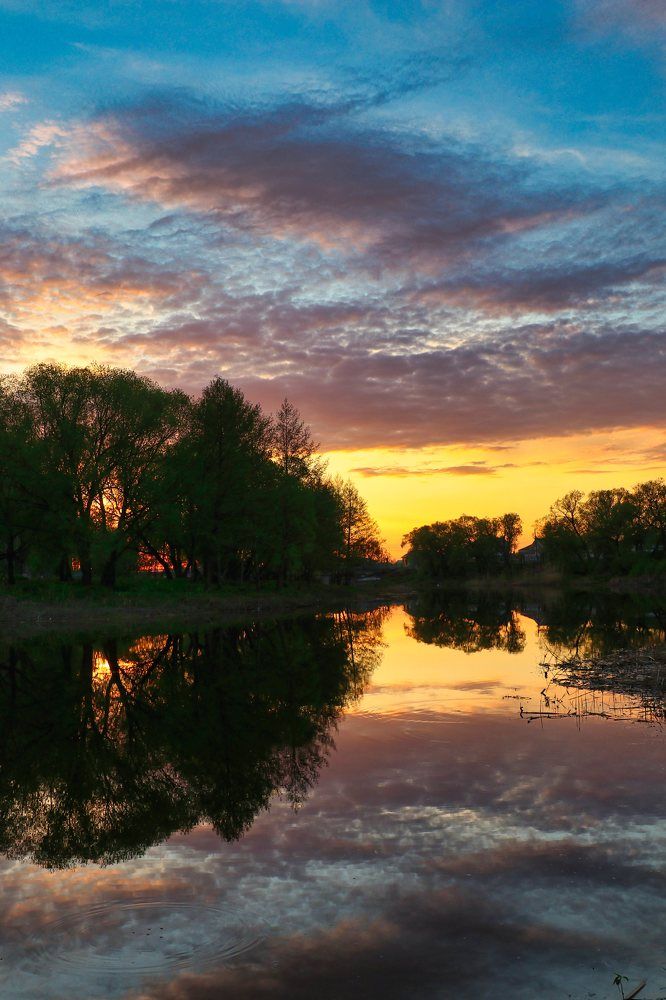 Фотография автора Андрей Потапов
