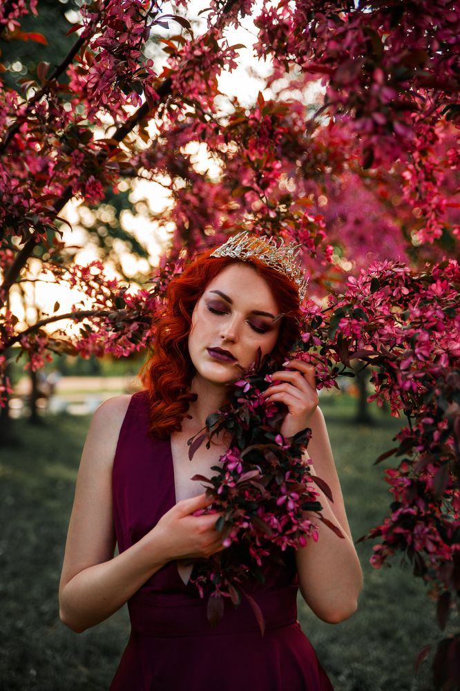 Фотография автора Катарина Берлинская