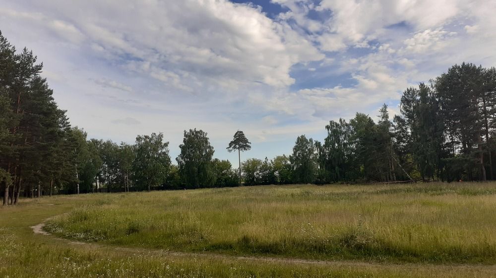 Фотография автора Елена Лещева