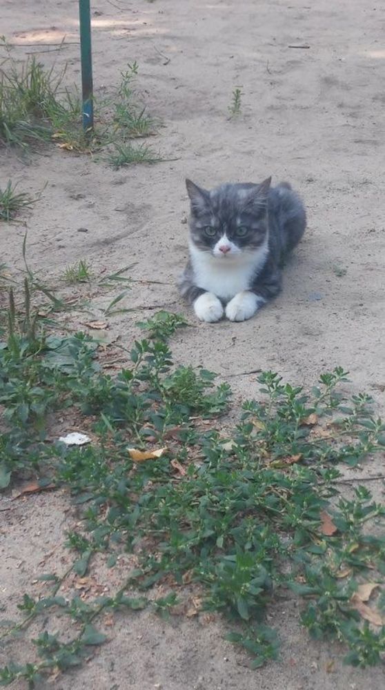 Фотография автора Елена Лещева