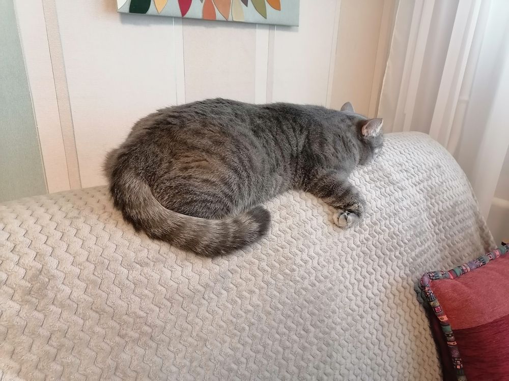 Фотография автора Любовь Панфилова