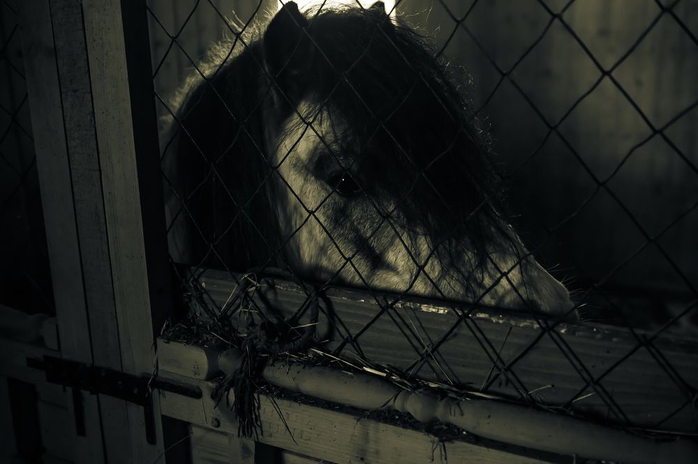 Фотография автора Екатерина Першина