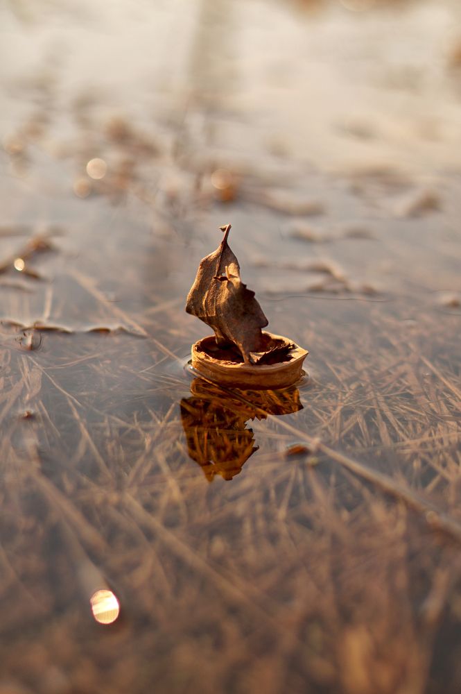 Photograph by Диана Герасимова