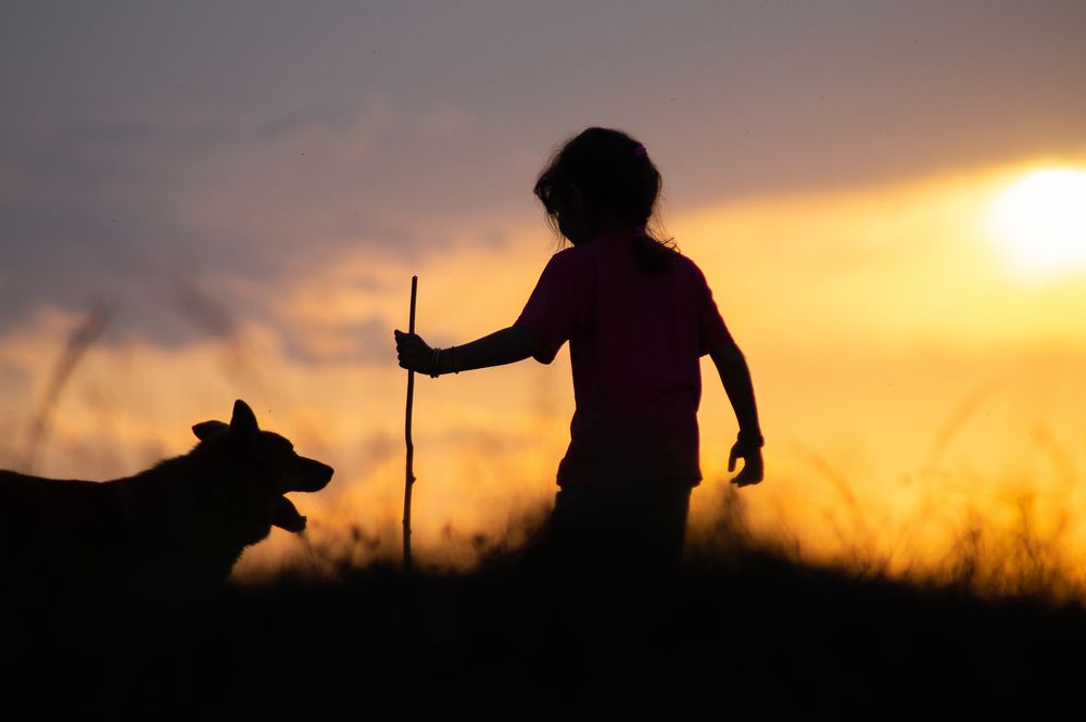 Photograph by Диана Герасимова