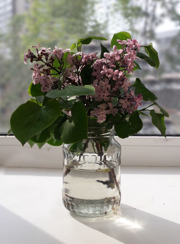 Photograph by Сергей Шаповалов