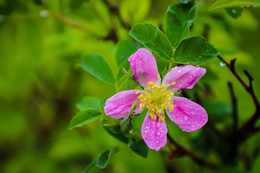 Фотография автора Юрий Фефилов