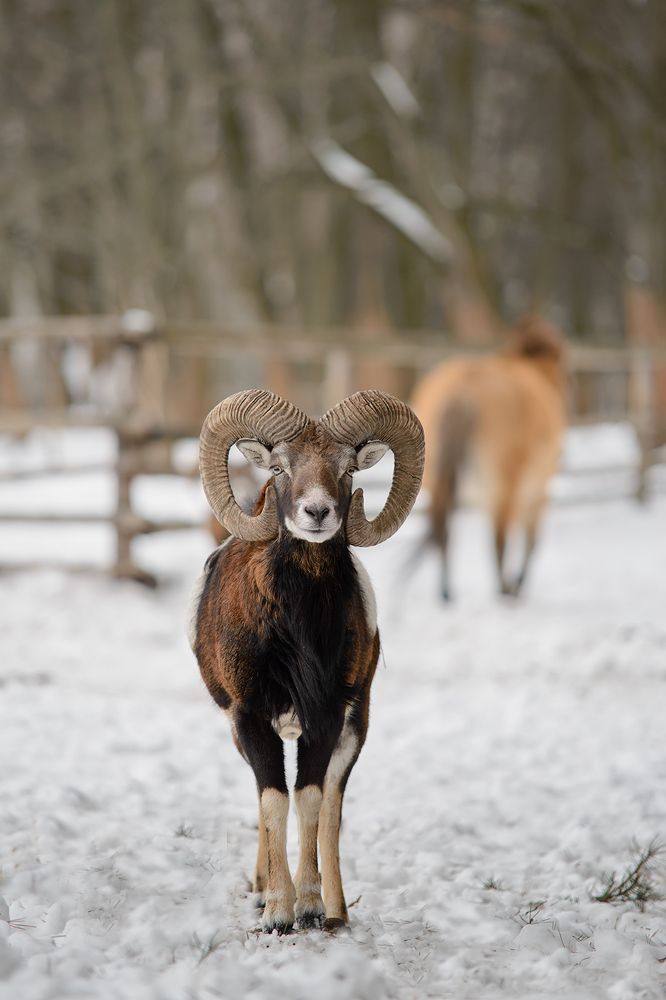 Фотография автора Анна Пикаленко