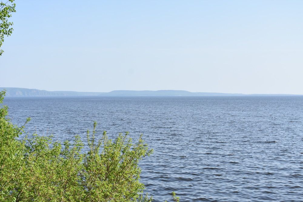 Фотография автора Любовь Панфилова