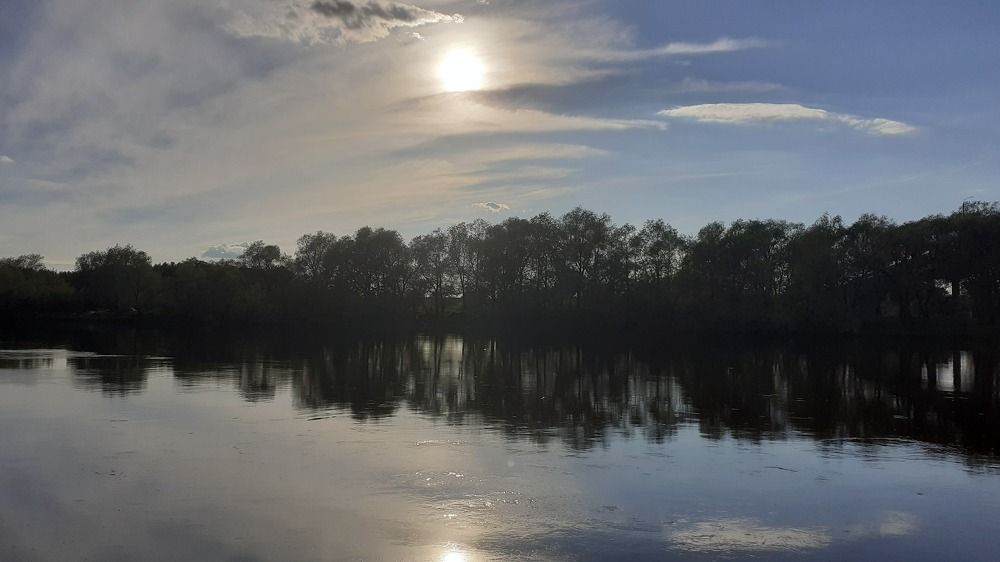 Фотография автора Елена Лещева