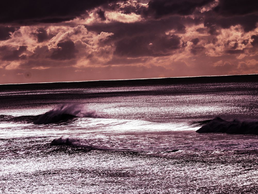 Photograph by Delfina Paulo