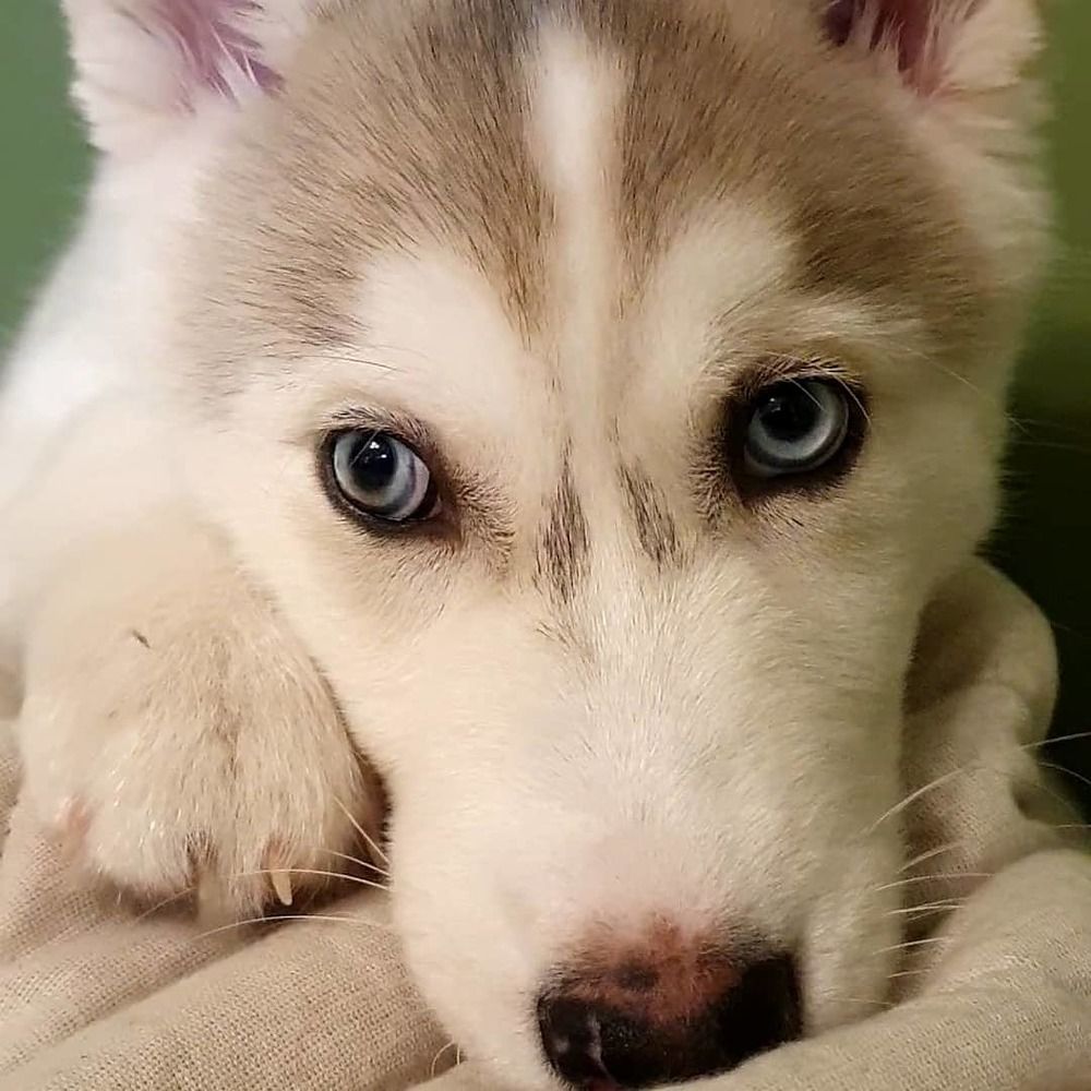 Photograph by Юлия Таран