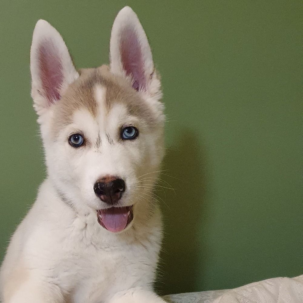 Photograph by Юлия Таран