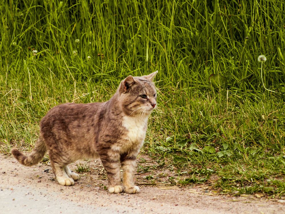 Photograph by Ковалев Николай