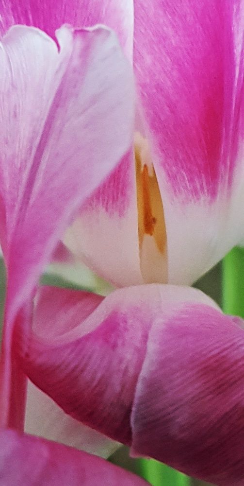 Photograph by Вадим Оборотов