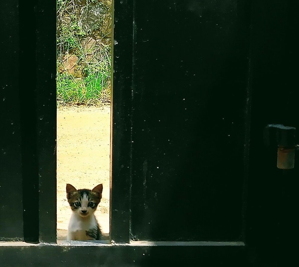 Photograph by Trianto Sutopo