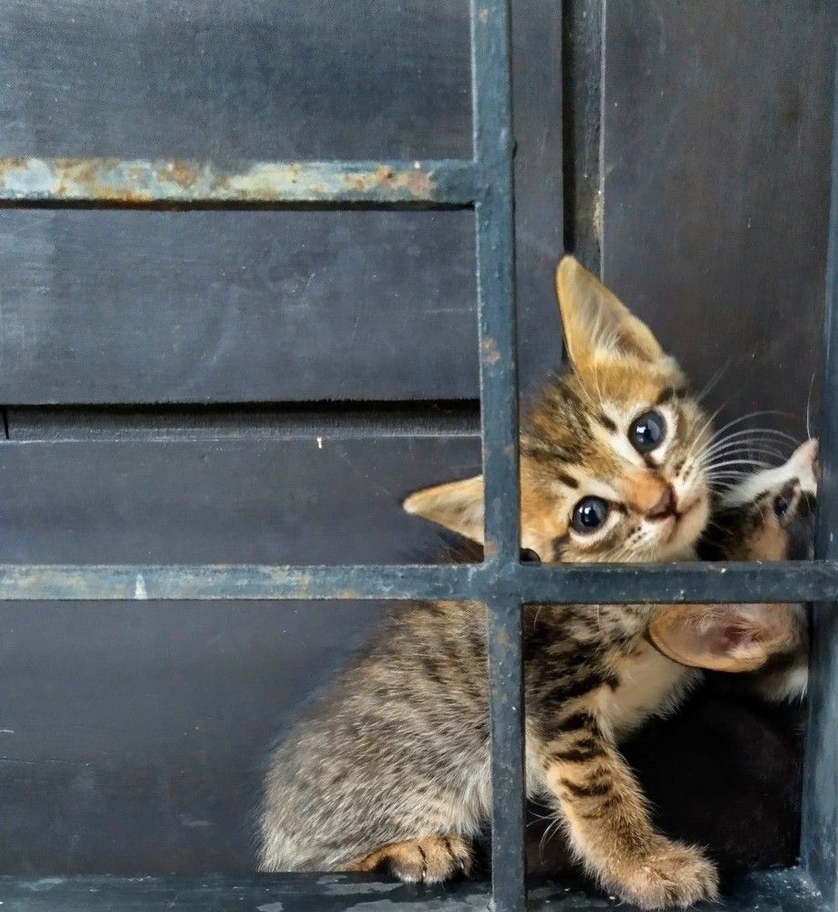 Photograph by Trianto Sutopo