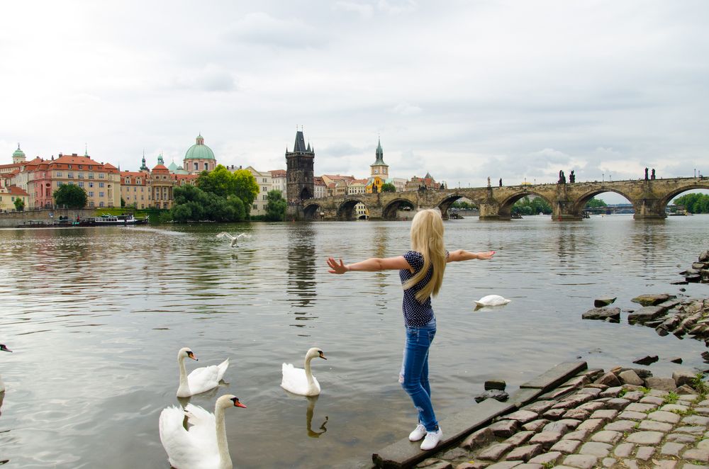 Photograph by Светлана Гринцова