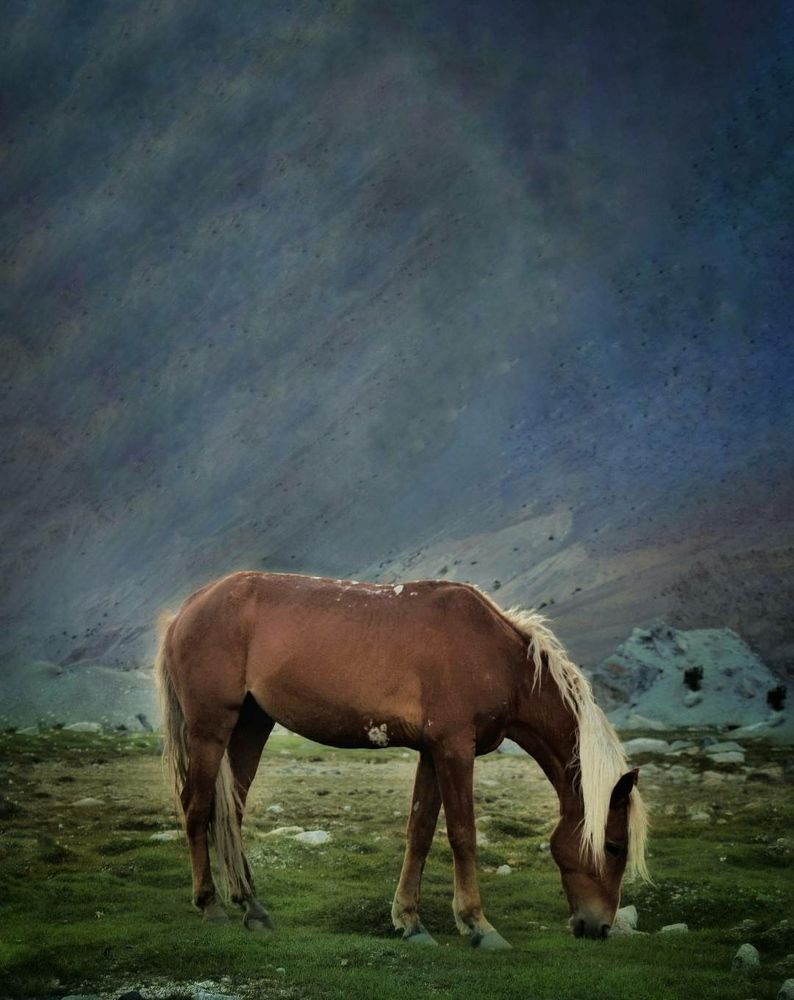 Photograph by ALI SHAH SYED SHAH ZAIB