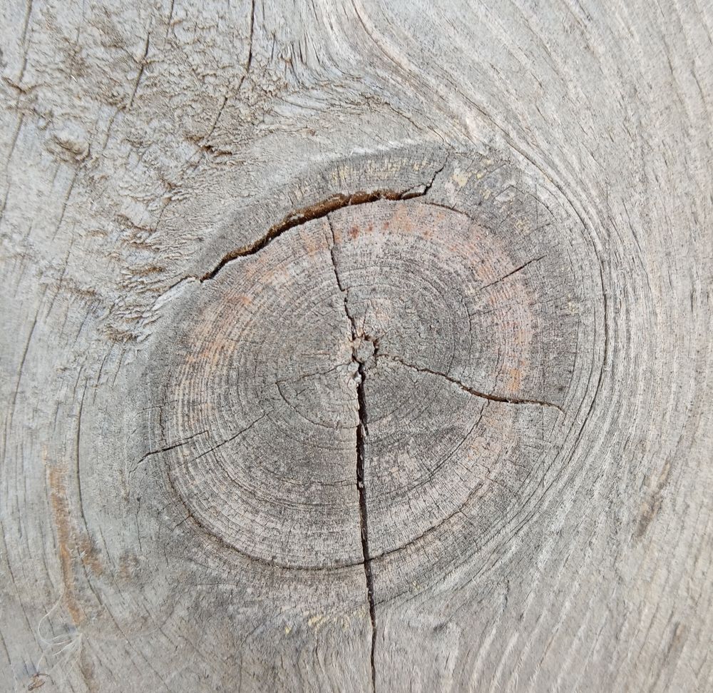 Photograph by Vladimir Voronyuk