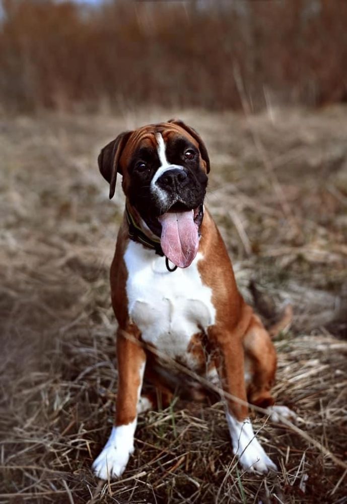 Photograph by Татьяна Катеренюк