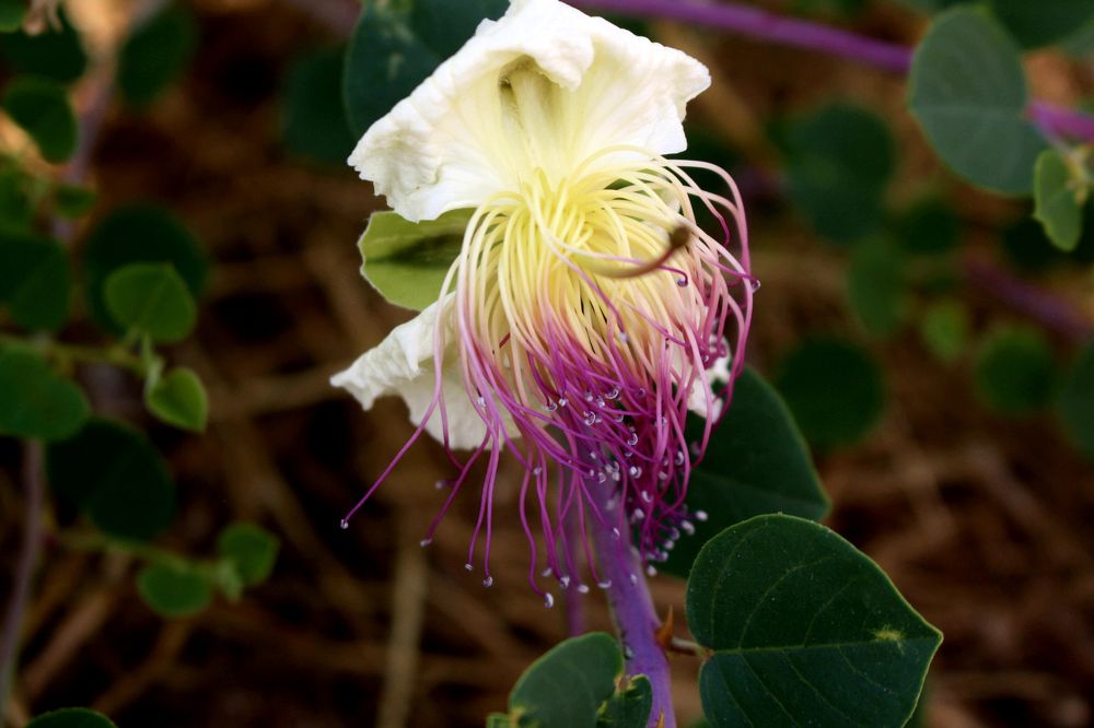 Фотография автора Сергей Рапопорт