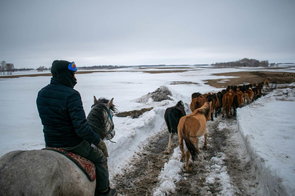 Photograph by Рамазан Медеубеков