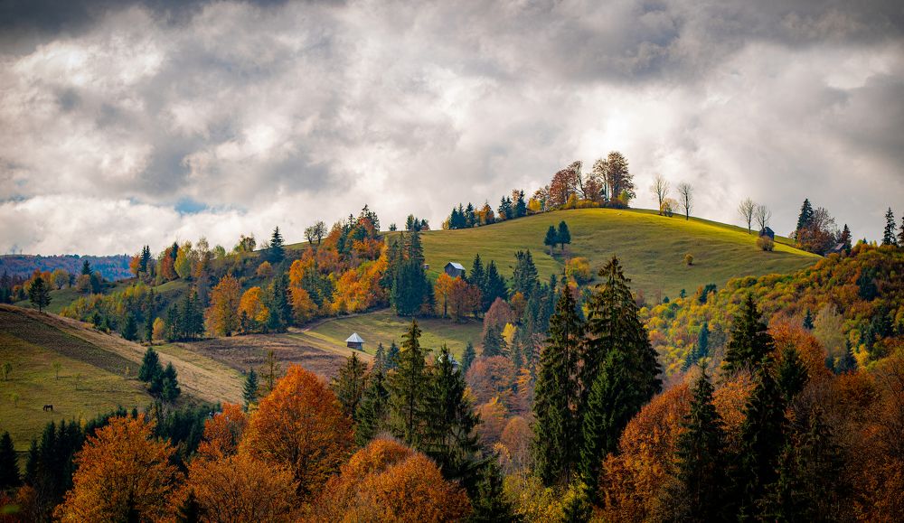 Photograph by Neacșu Marius