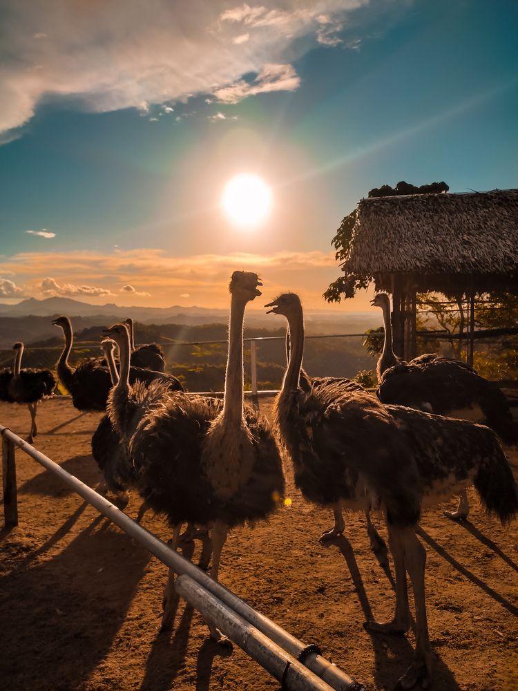 Photograph by James Basil