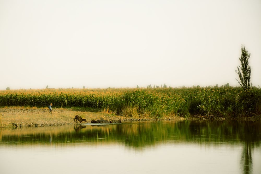 Photograph by Pourya Darband Yourdshahi