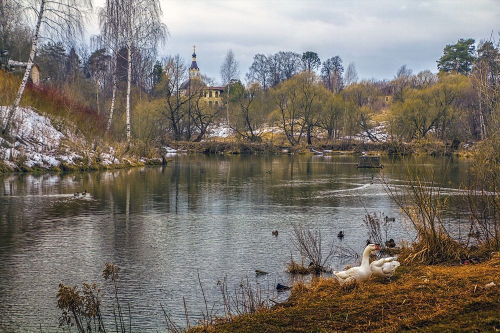 Photograph by Андрей Антонов