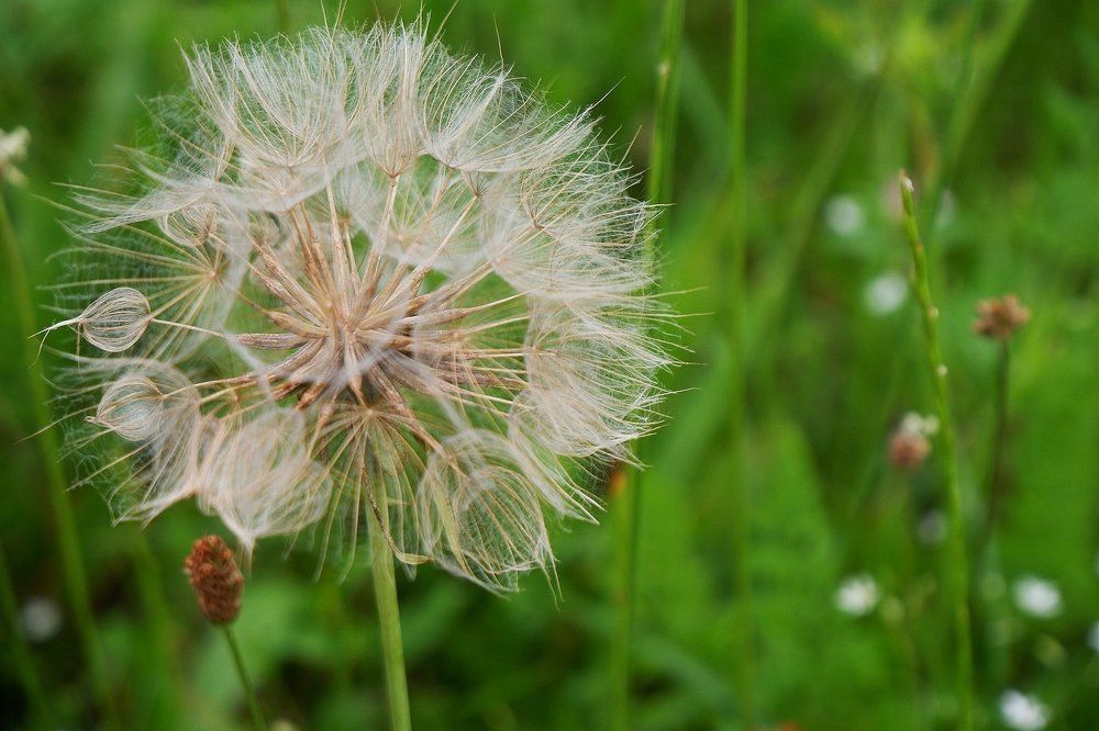 Photograph by Янина Найденцева