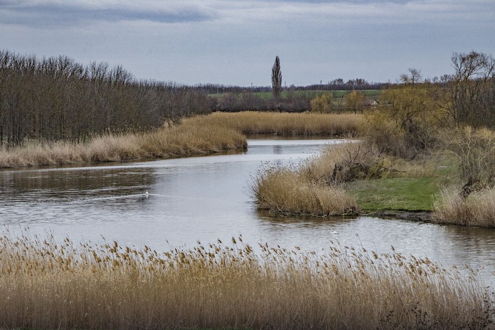 Photograph by Александр Воронов
